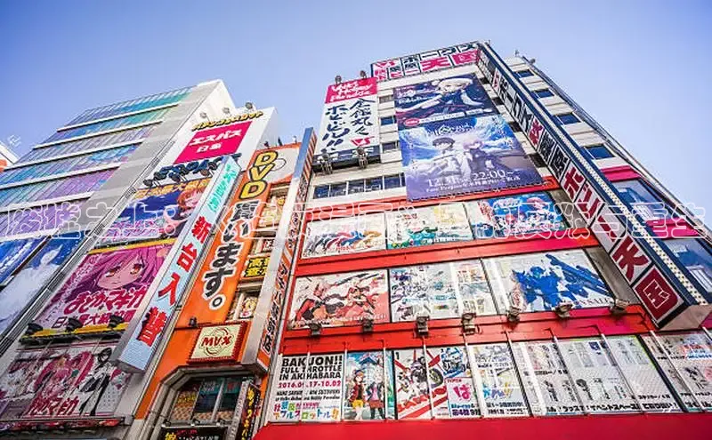 漫蛙官网正版入口